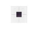 Glass Panel control module with OLED display and temperature controller (White Edition)